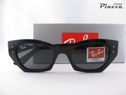 Occhiali da sole Ray Ban 4430 667787 ZENA neri