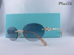Occhiali da sole Tiffany TF3104D 621716